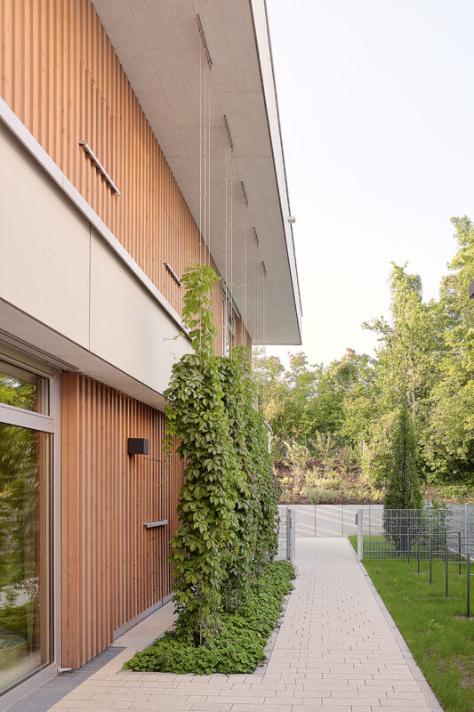 02_Kita-Regenpfeifer_20250806